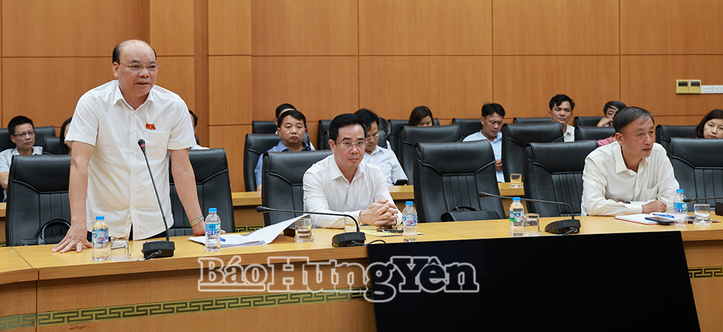 Đồng chí Đặng Thanh Giang, Ủy viên Ban Thường vụ Tỉnh ủy, Phó Chủ tịch HĐND tỉnh phát biểu thảo luận.