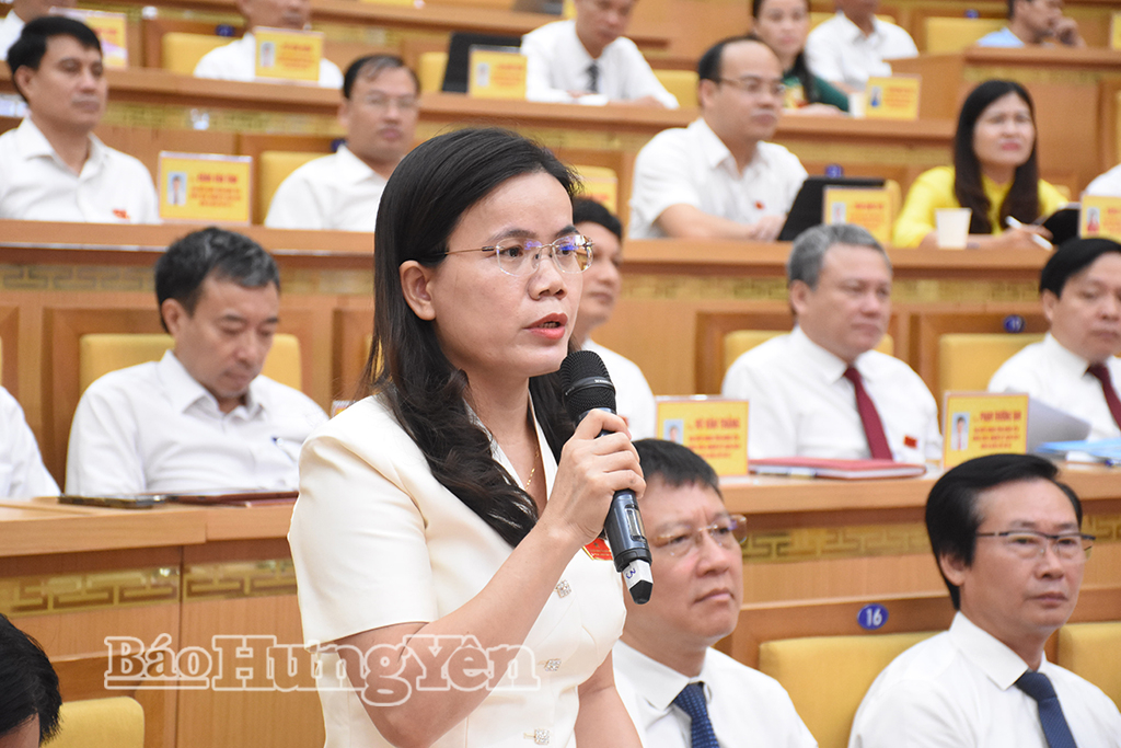 ba,vu,hong,luyen,to,dai,bieu,so,10,pho,chu,tich,ubmttqvn,tinh,chu,tich,hoi,lhpn,tinh,11150109.jpg