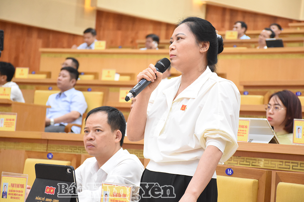 Bà Phạm Thị Như Phong, Bí thư Đảng ủy, Chủ tịch HĐND xã Vũ Thư, Tổ đại biểu số 12 chất vấn tại hội trường.