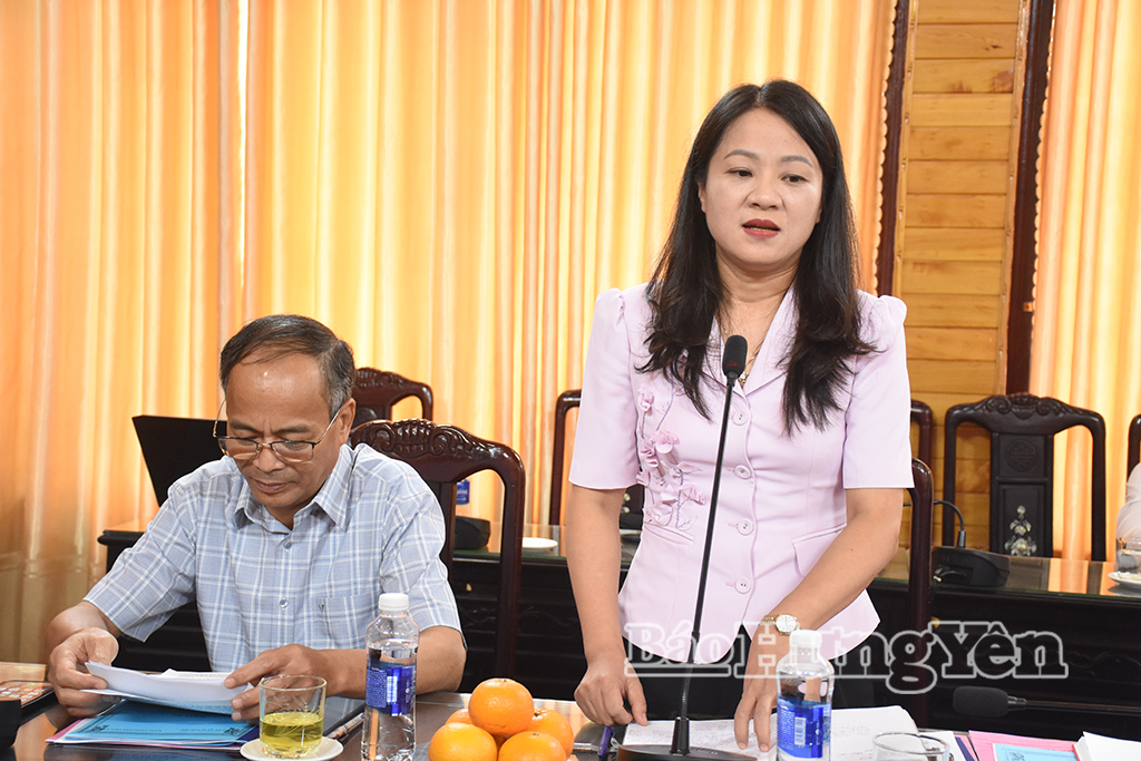 Lãnh đạo Ban Tuyên giáo và Dân vận Tỉnh ủy phát biểu tại hội nghị.