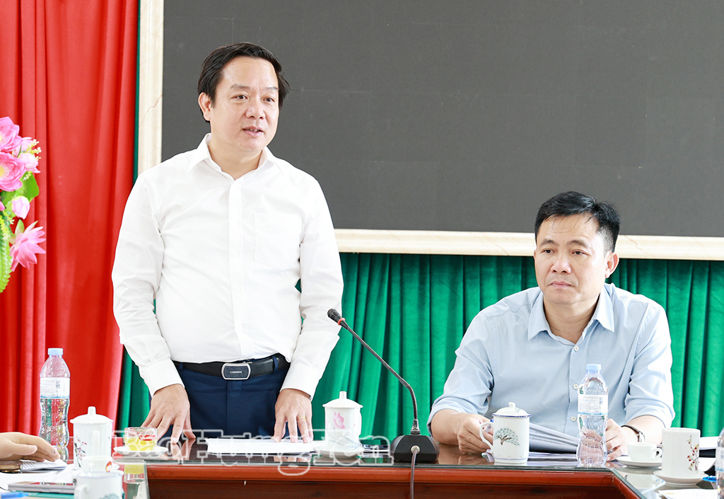 Đồng chí Phạm Quang Ngọc, Ủy viên Ban Chấp hành Trung ương Đảng, Bí thư Tỉnh ủy, Trưởng Ban Chỉ đạo phát biểu tại buổi làm việc với các đơn vị tổ chức chương trình lễ kỷ niệm.