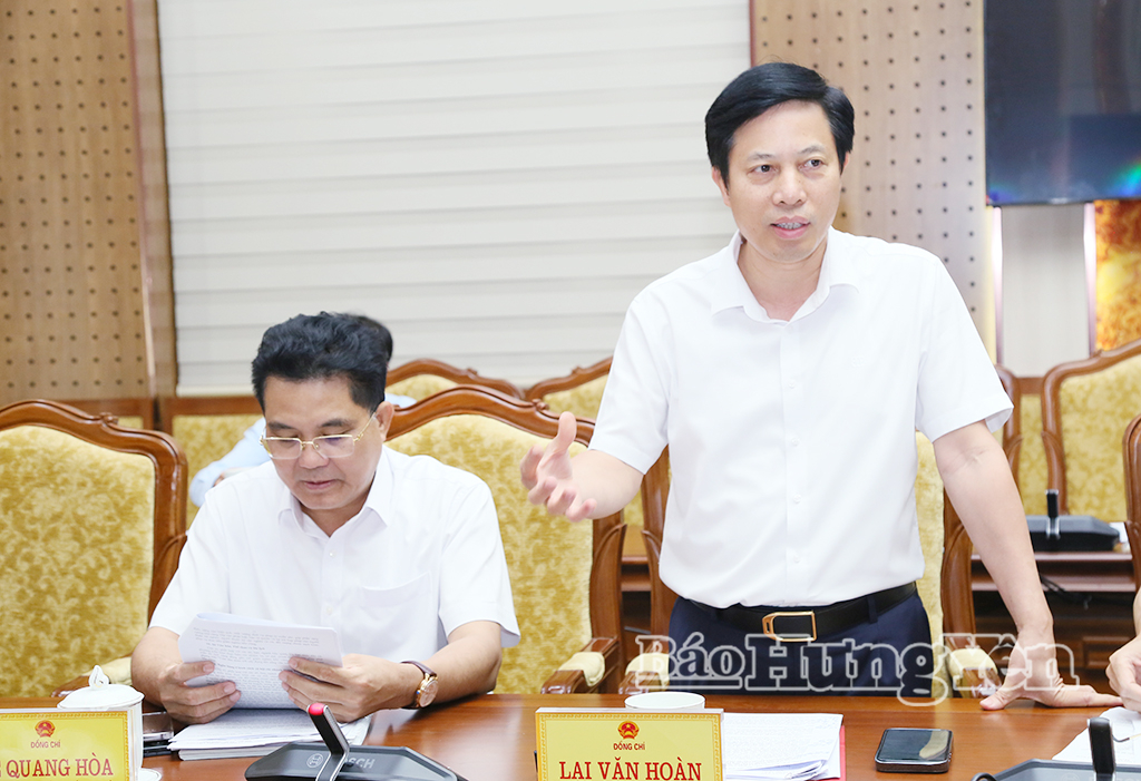 Đồng chí Lại Văn Hoàn, Phó Chủ tịch UBND tỉnh phát biểu tại cuộc họp.