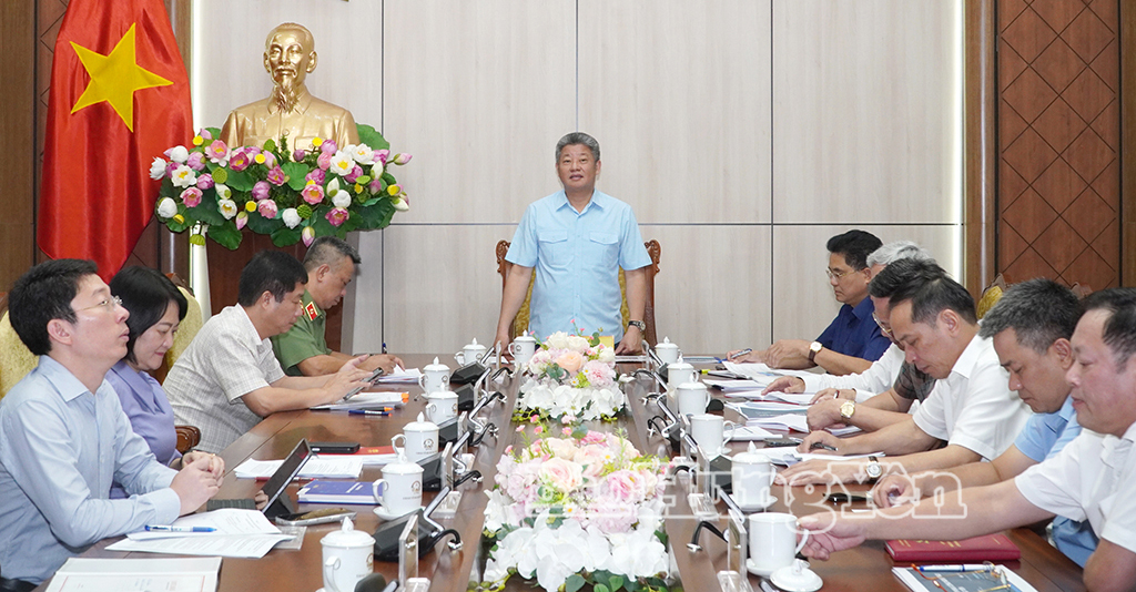Đồng chí Nguyễn Mạnh Quyền, Phó Bí thư Tỉnh ủy, Chủ tịch UBND tỉnh phát biểu tại cuộc họp.