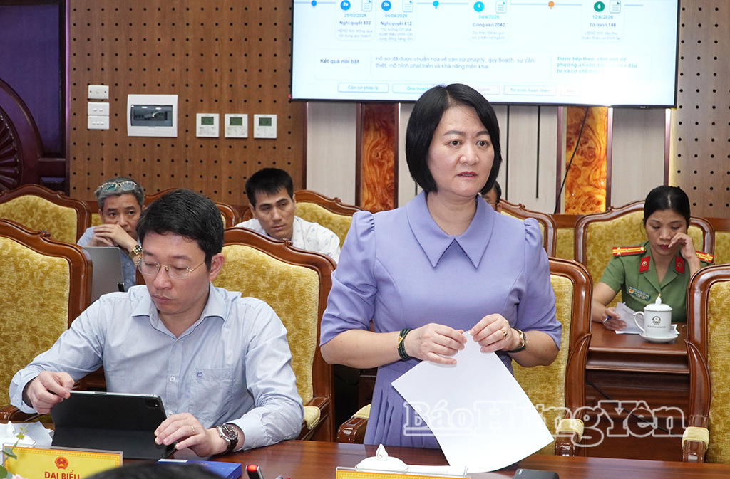 Đồng chí Thái Thị Thu Hường, Giám đốc Sở Khoa học và Công nghệ báo cáo tại cuộc họp.