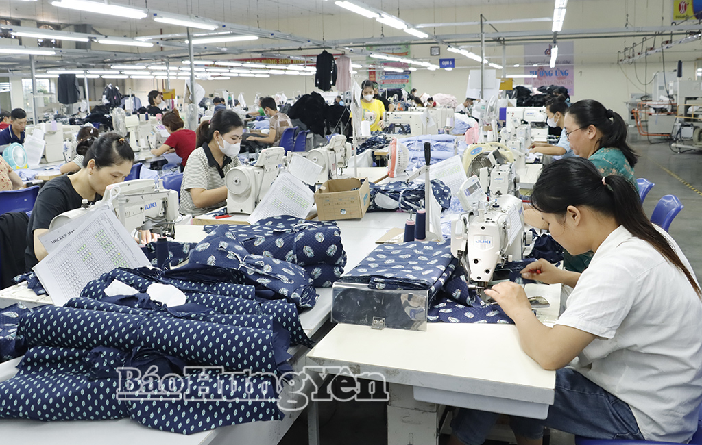 Hoạt động sản xuất tại Công ty Cổ phần Đô Lương (Cụm công nghiệp Đô Lương, xã Bắc Đông Hưng). Ảnh: Thu Hiền 
