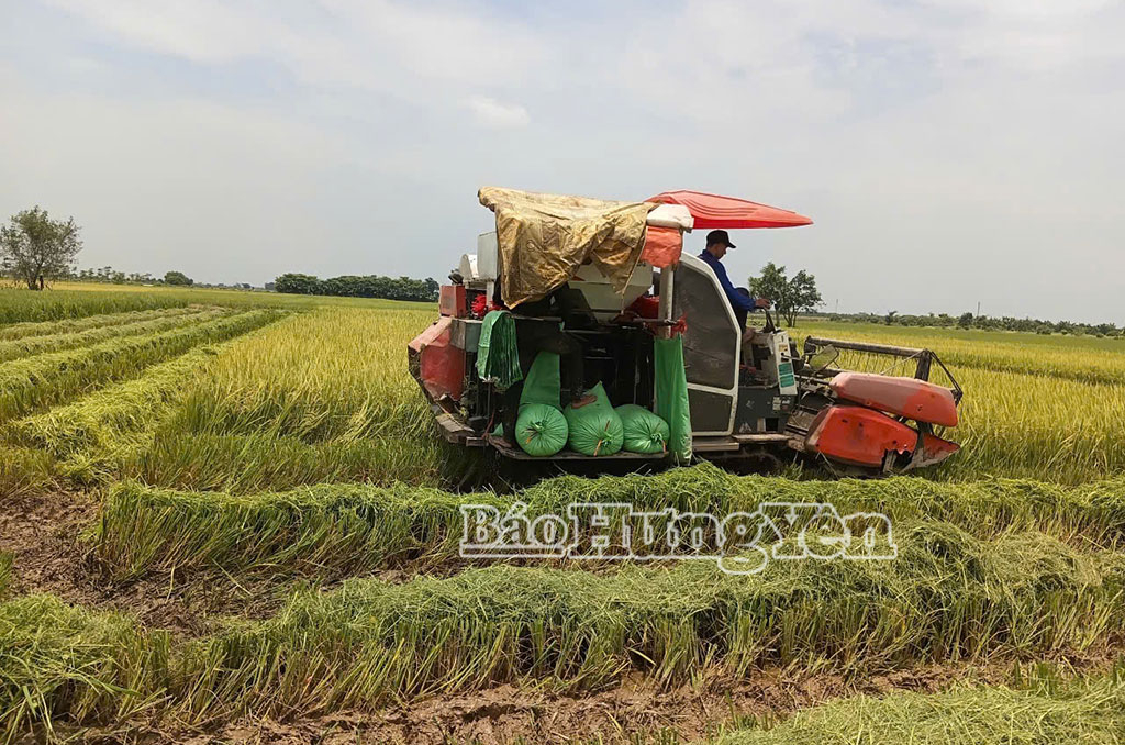 Cơ giới hóa đồng ruộng xã Hồng Quang.
