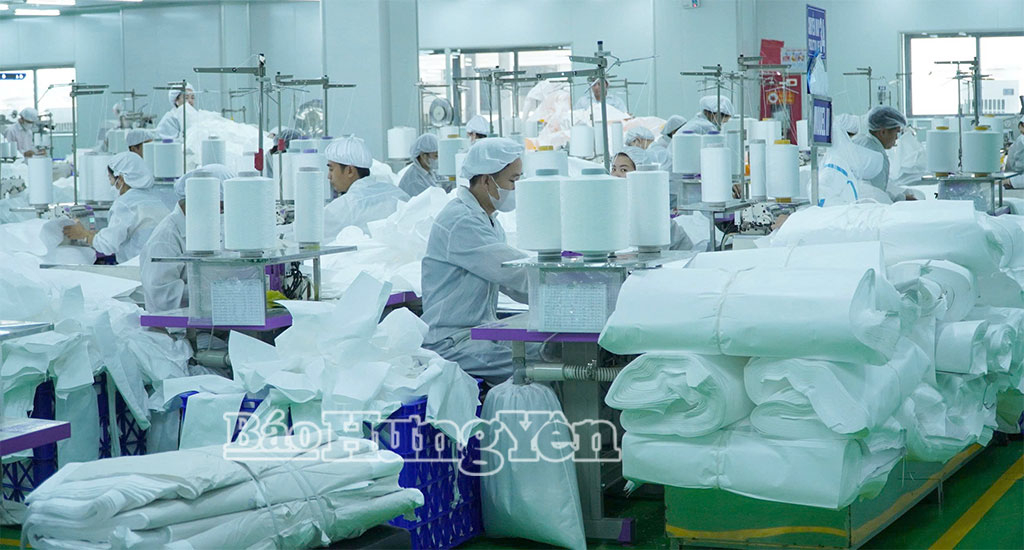 Sản xuất thiết bị, dụng cụ y tế tại Công ty TNHH Tập đoàn Environstar, khu công nghiệp Cầu Nghìn.