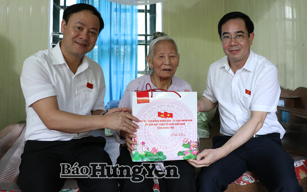 Thăm, tặng quà Bà mẹ Việt Nam Anh hùng, thương binh tại xã Thư Vũ