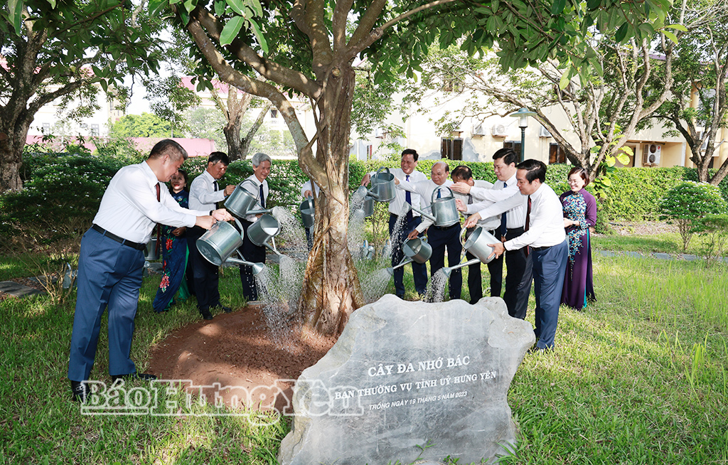 Các đại biểu chăm sóc “Cây đa nhớ Bác” tại Nhà lưu niệm Bác Hồ (phường Phố Hiến). Ảnh: Lê Hiếu
