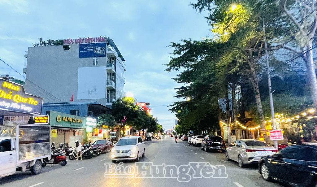 Phố Lê Quý Đôn, đoạn qua phường Trần Lãm.