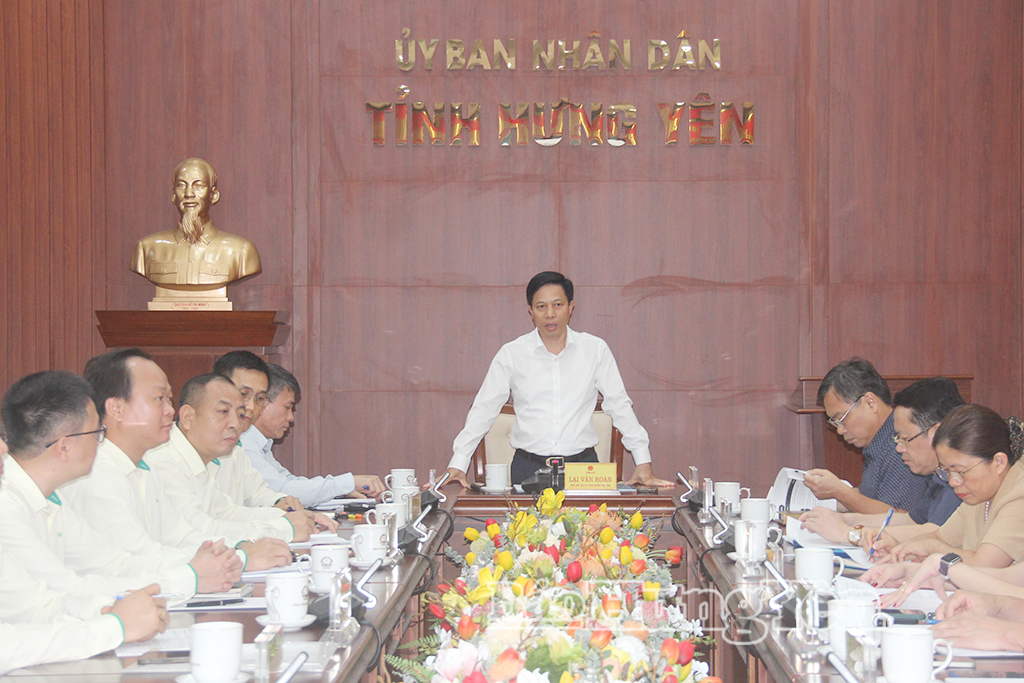 Đồng chí Lại Văn Hoàn, Phó Chủ tịch UBND tỉnh chủ trì buổi làm việc.