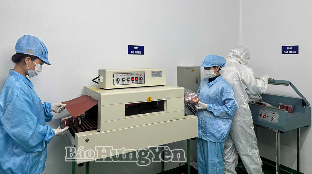 HTX Nam dược Hoàng Lương, xã Tiền Hải sản xuất 6 dòng sản phẩm, trong đó có 3 sản phẩm được chứng nhận OCOP 3 sao.