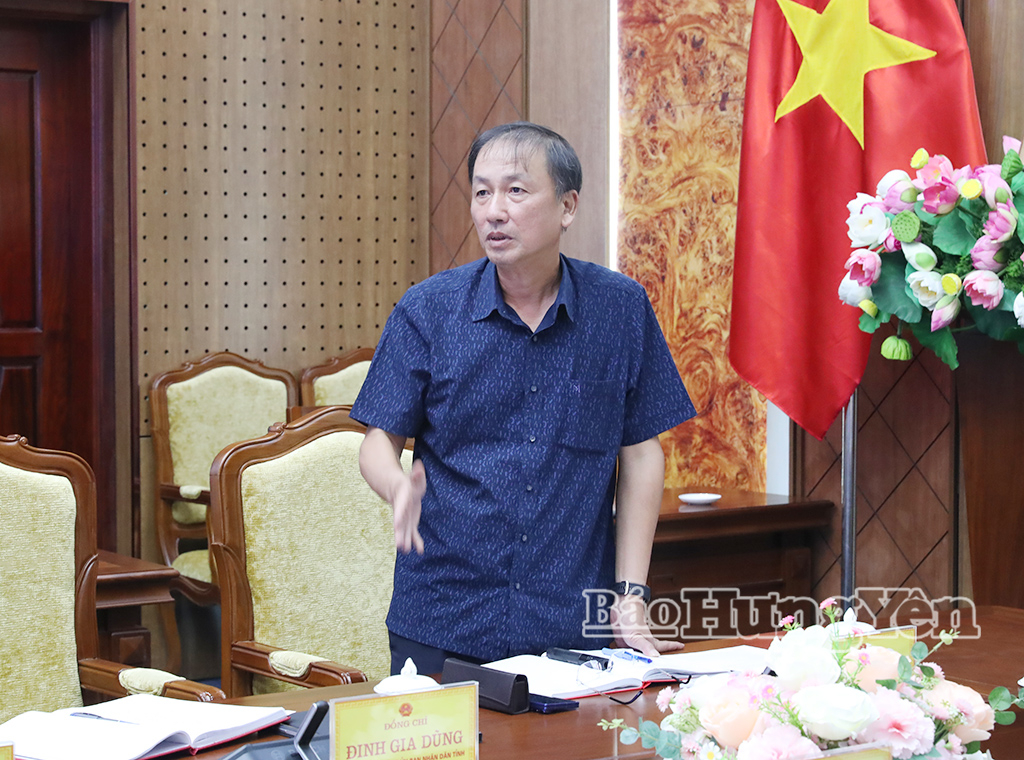 Đồng chí Phó Chủ tịch UBND tỉnh Nguyễn Hùng Nam phát biểu tại cuộc họp.