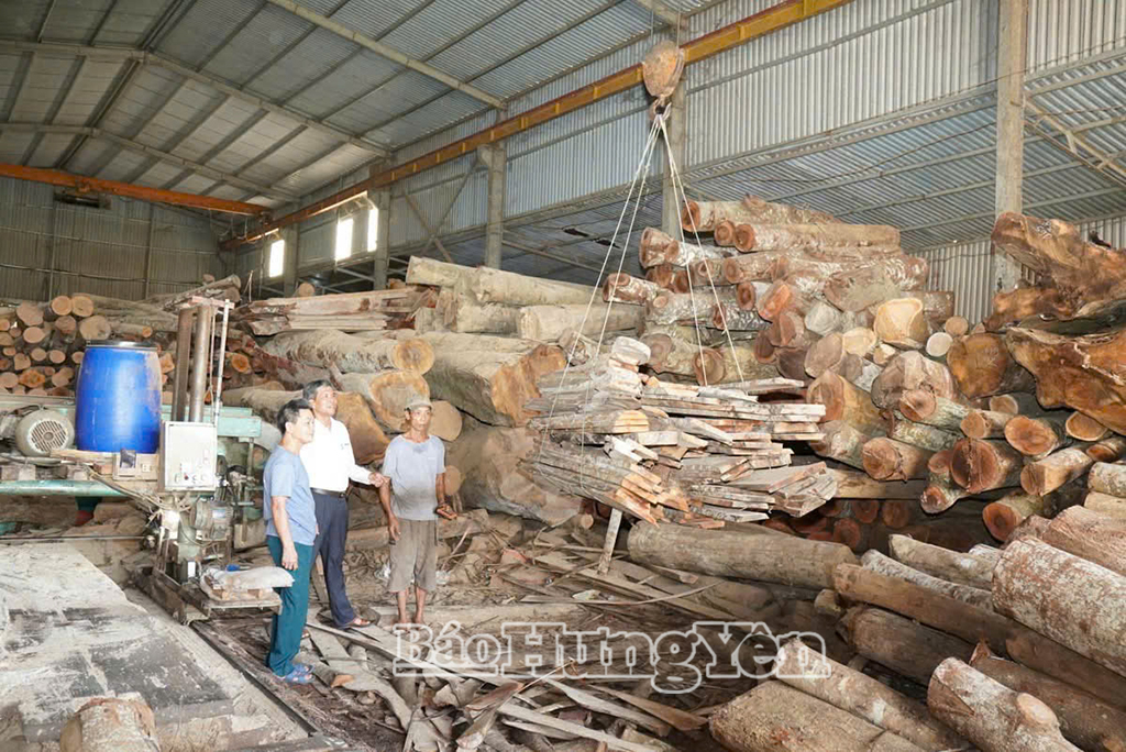 Xưởng xẻ gỗ của ông Nguyễn Văn Thiết, thôn Vế, xã Ngự Thiên.