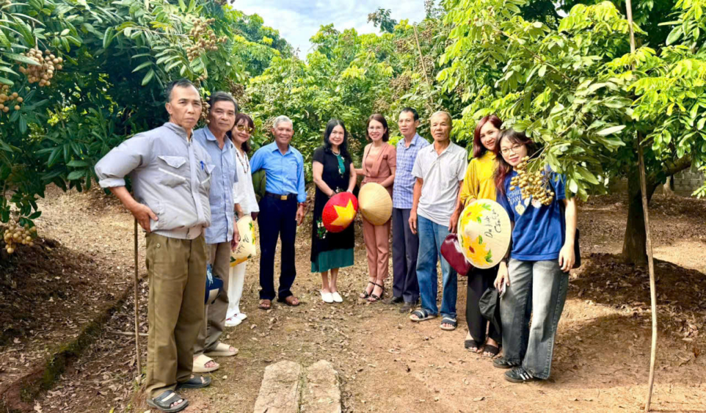 Du khách tham quan, trải nghiệm tại vườn nhãn của Hợp tác xã Nông nghiệp xanh Phố Hiến, xã Tân Hưng.