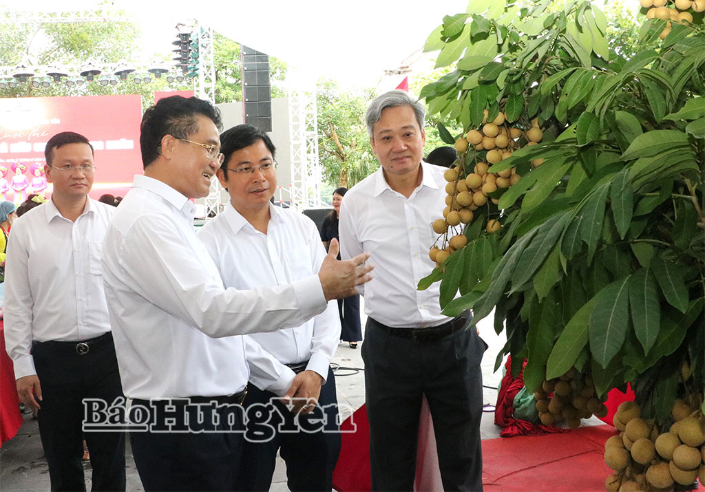Đồng chí Phó Chủ tịch UBND tỉnh Lê Quang Hòa kiểm tra công tác chuẩn bị tại khu vực trưng bày, giới thiệu sản phẩm.
