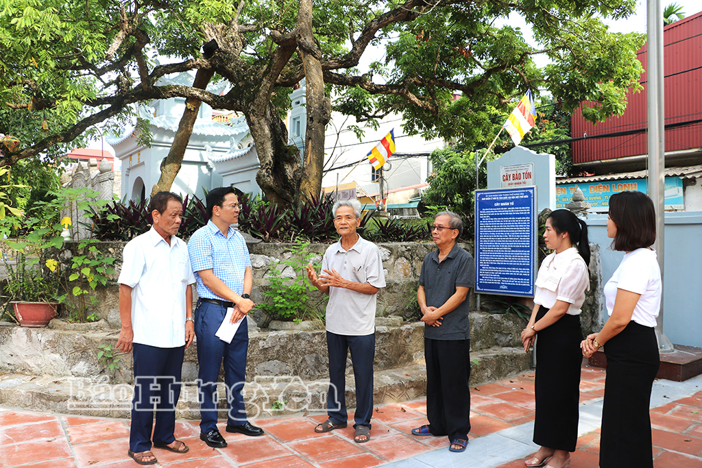Cụ Nguyễn Diệm (thứ 3 từ trái sang) giới thiệu với người dân và du khách về cây nhãn Tổ ở đình - chùa Hiến (phường Hồng Châu).