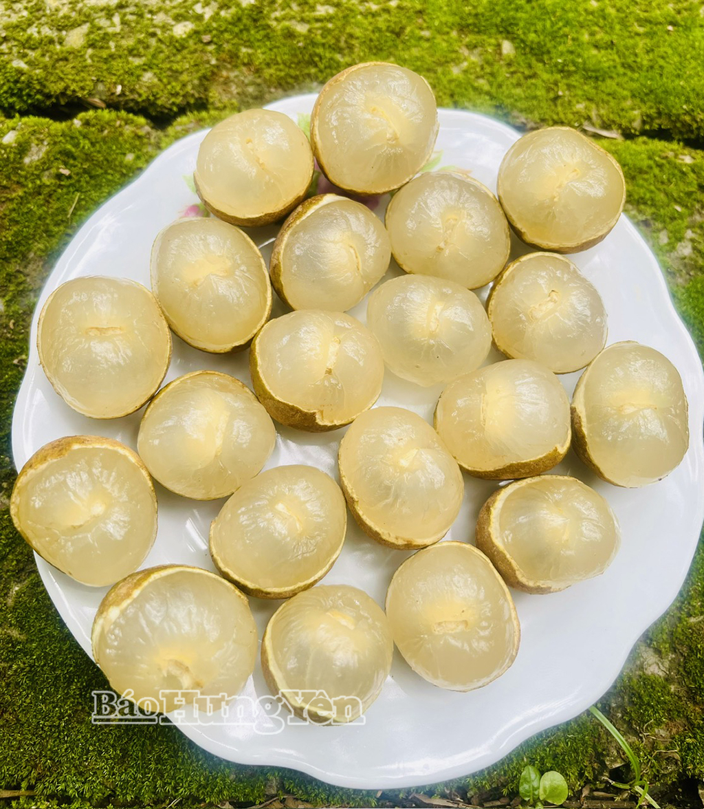 Nhãn Hưng Yên nổi tiếng với cùi dày, hạt nhỏ, vị ngọt thanh và hương thơm đặc trưng.