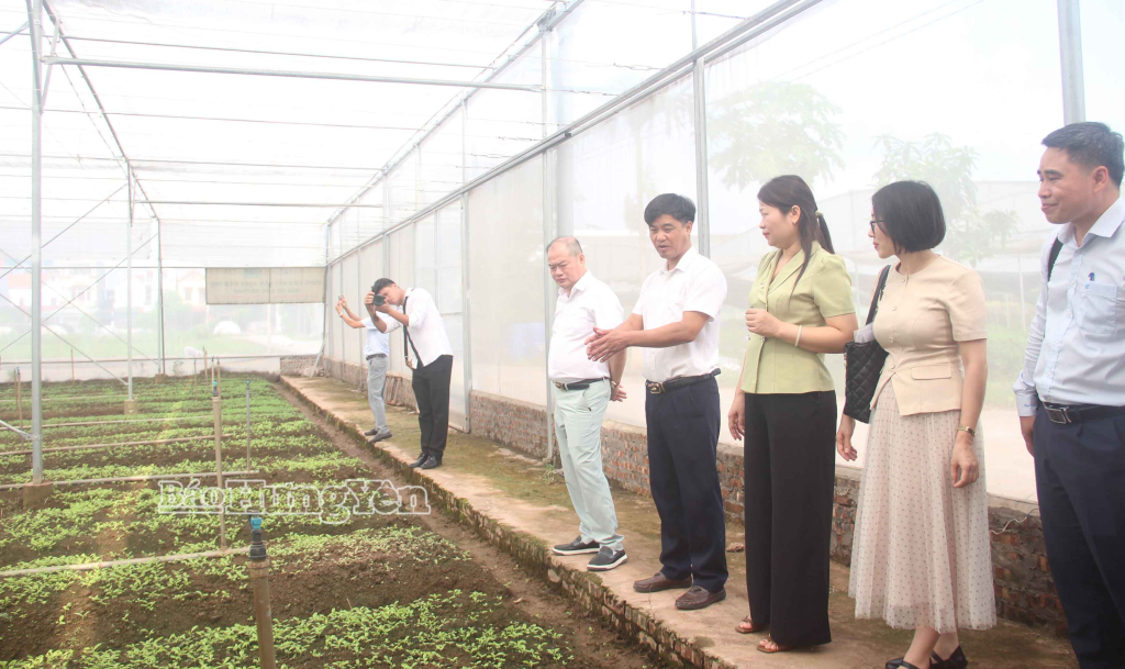 Đoàn công tác khảo sát tại HTX DVNN tổng hợp Yên Phú, xã Việt Yên.