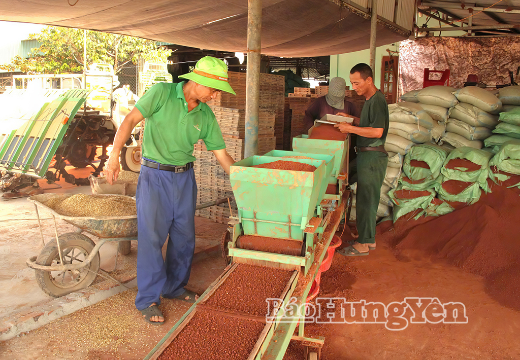 Anh Đặng Tất Tuân (người bên trái) điều khiển máy gieo mạ khay 3 buồng do anh và các cộng sự sáng chế.