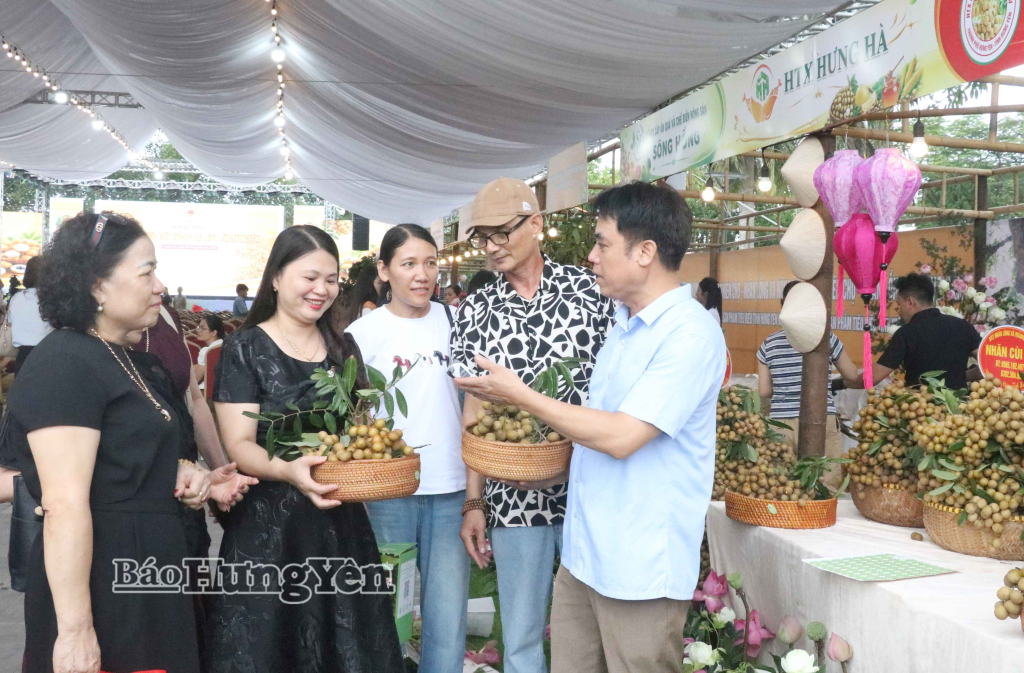 Đặc sản nhãn lồng Hưng Yên được giới thiệu tại Lễ hội và xúc tiến thương mại Nhãn lồng Hưng Yên năm 2026.