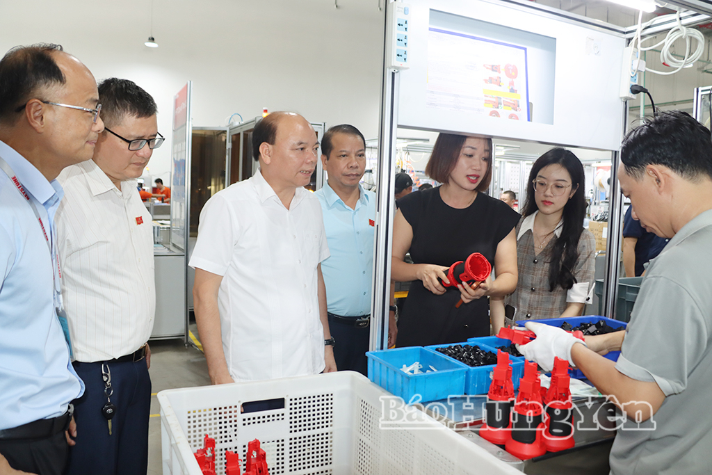 Đồng chí Phó Chủ tịch HĐND tỉnh và các thành viên đoàn giám sát tham quan Nhà máy sản xuất của Công ty TNHH Keystone Electrical Việt Nam (Khu công nghiệp Liên Hà Thái).