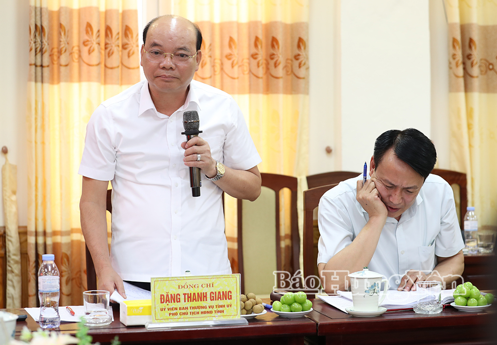 Đồng chí Đặng Thanh Giang, Ủy viên Ban Thường vụ Tỉnh ủy, Phó Chủ tịch HĐND tỉnh phát biểu tại hội nghị.
