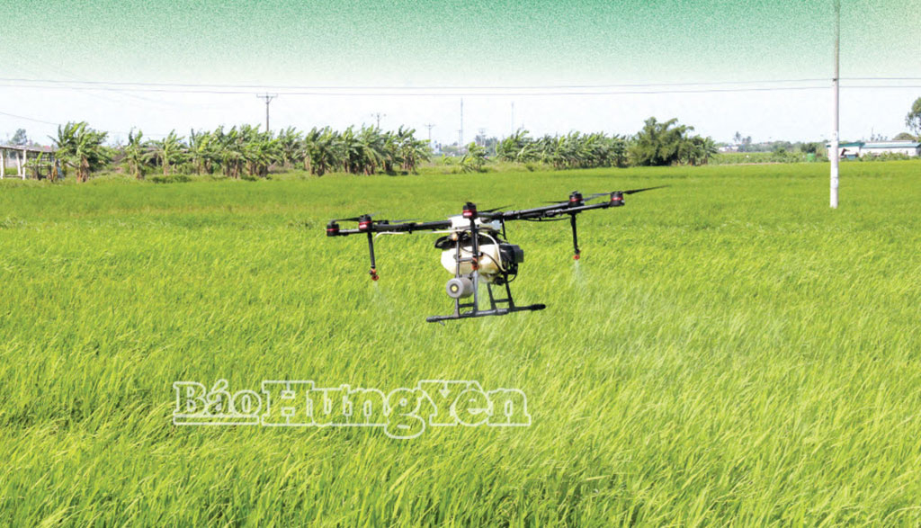 Sử dụng thiết bị bay không người lái trong phòng, trừ sâu bệnh tại xã Kiến Xương.