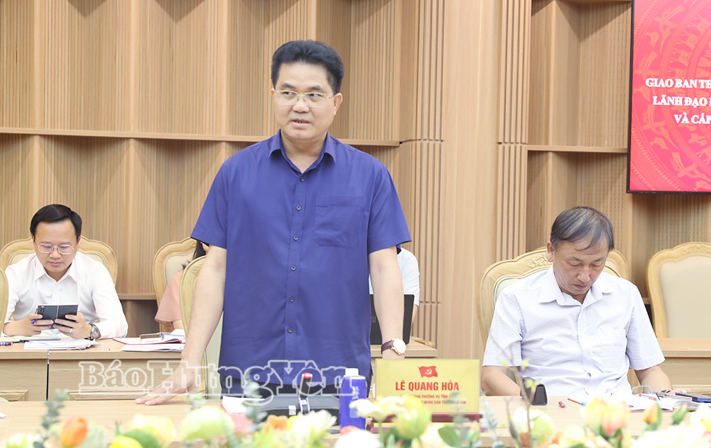 Đồng chí Lê Quang Hòa, Ủy viên Ban Thường vụ Tỉnh ủy, Phó Chủ tịch UBND tỉnh phát biểu tại hội nghị.