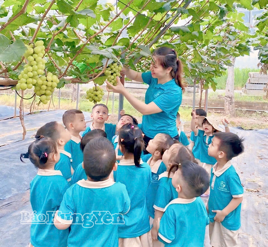 Hoạt động trải nghiệm thu hoạch nho sữa tại vườn thu hút trẻ em đến tham quan.
