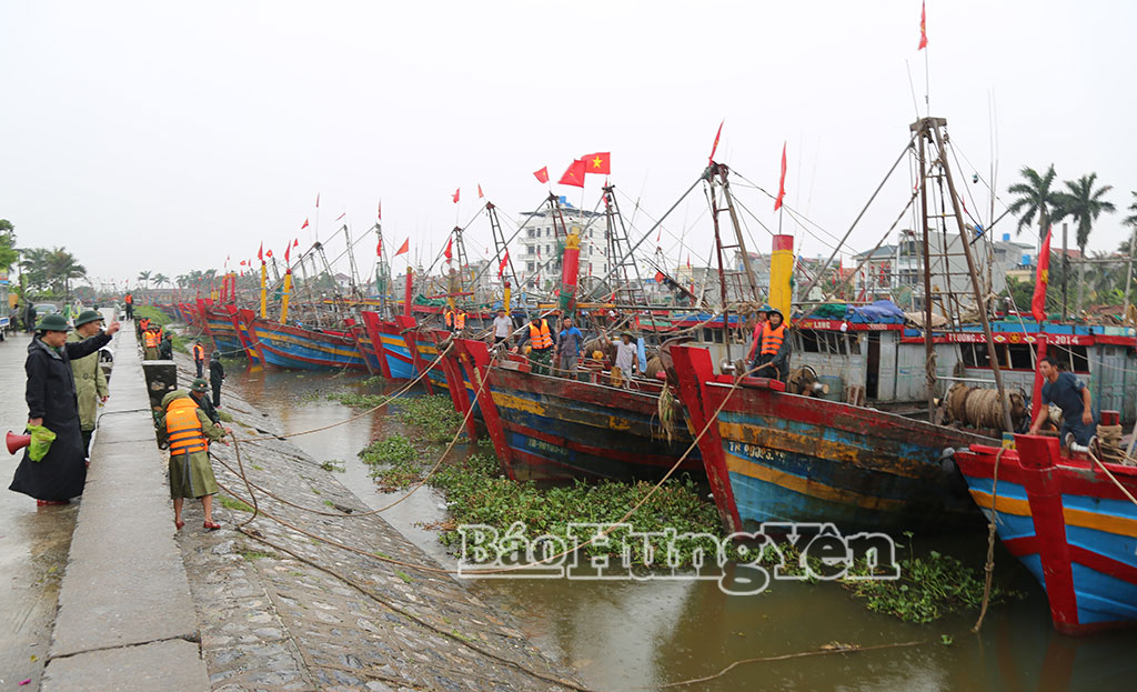 Phương tiện tránh trú bão tại khu khu vực neo đậu Diêm Điền, xã Thái Thụy.