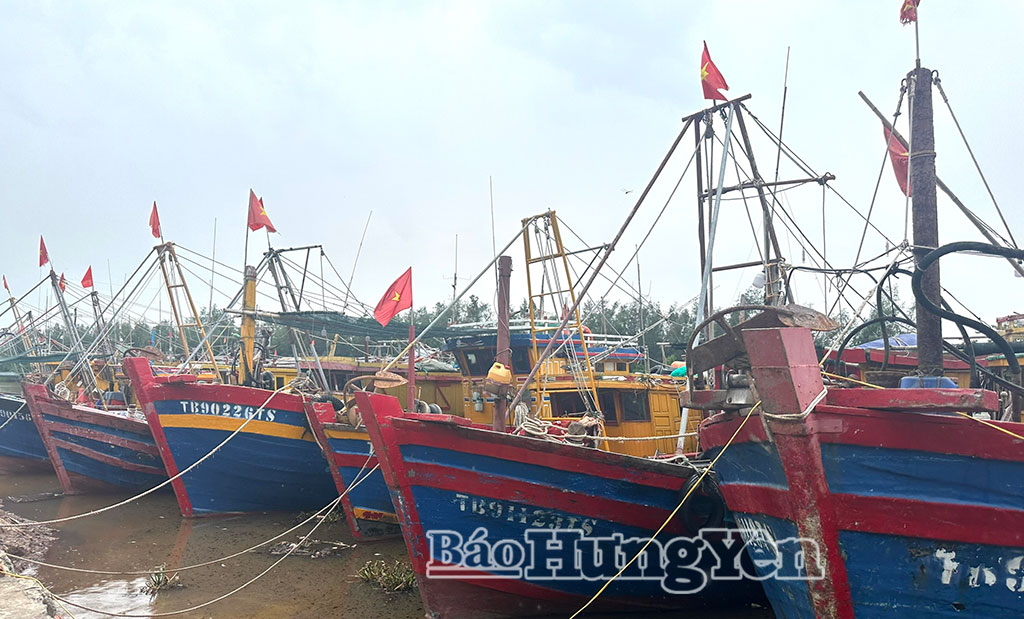 Các phương tiện neo đậu tránh trú bão tại khu vực cảng cá Cửa Lân (xã Nam Cường).