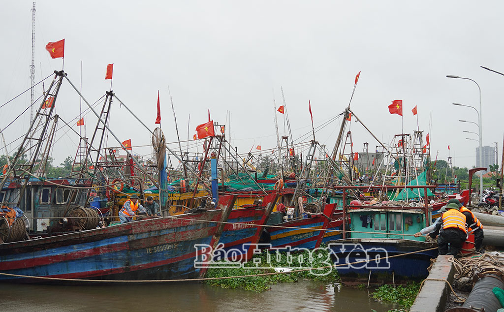 Cán bộ, chiến sĩ Đồn Biên phòng cửa khẩu cảng Diêm Điền hỗ trợ ngư dân neo đậu tàu, thuyền tránh trú bão.