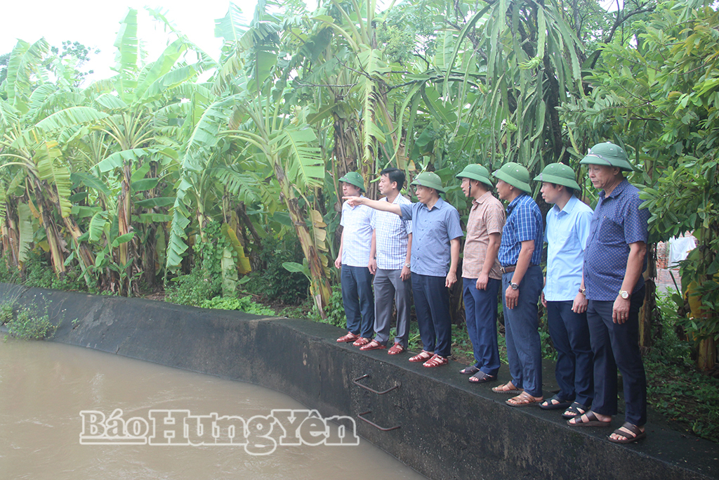 Đồng chí Lại Văn Hoàn, Phó Chủ tịch UBND tỉnh kiểm tra công tác tiêu úng tại Trạm bơm An Quốc, xã Trà Giang.