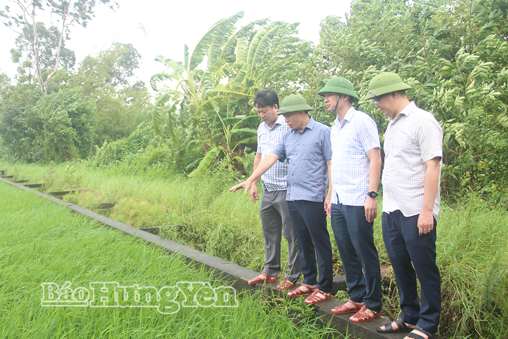 Đến 12 giờ ngày 24/8, diện tích lúa bị ngập của tỉnh đã giảm 1.104ha so với thời điểm 8 giờ ngày 24/8.