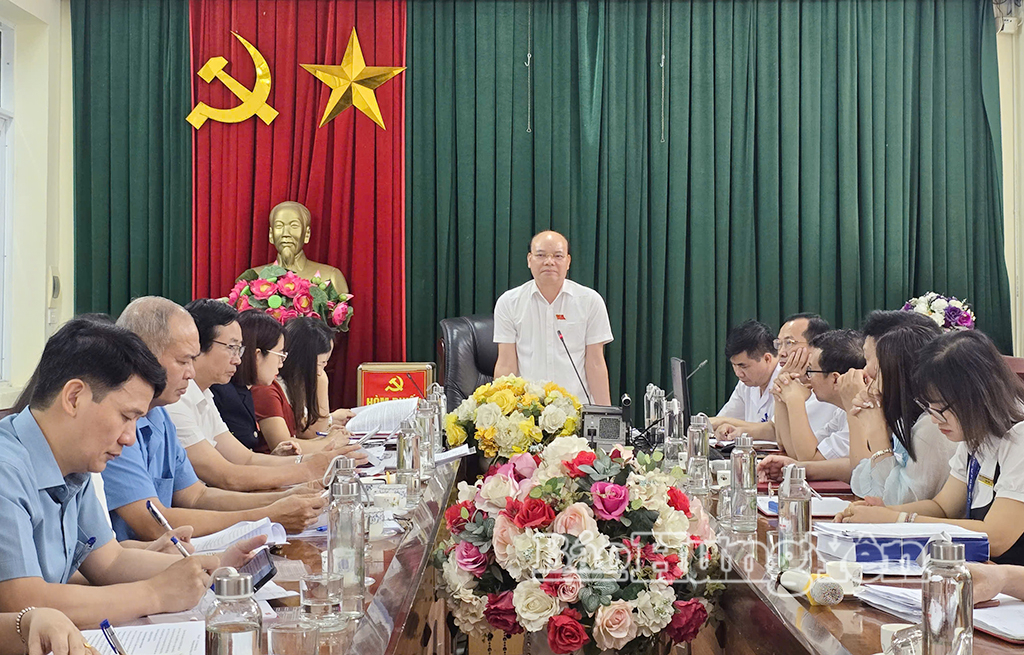 Đồng chí Phó Chủ tịch HĐND tỉnh Đặng Thanh Giang phát biểu tại buổi giám sát.