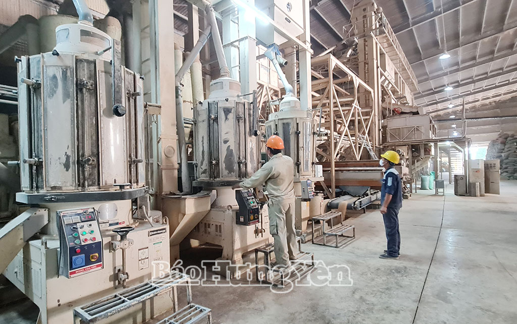 Công nhân Công ty TNHH Liên Hạnh (xã Vũ Thư) vận hành dây chuyền chế biến gạo.