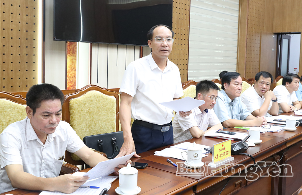 Đại diện các địa phương phát biểu tại cuộc họp.