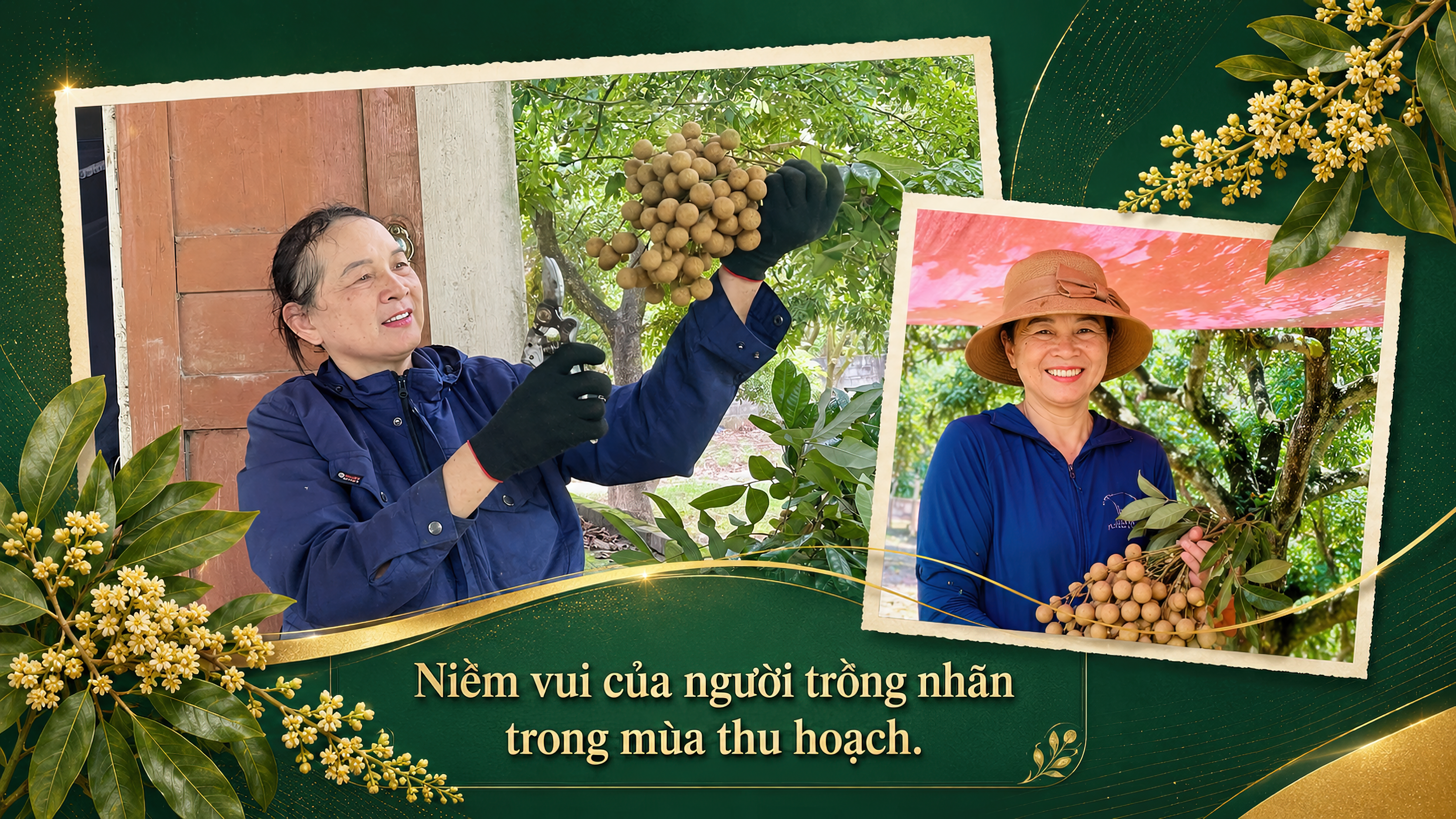 Ảnh co giãn vừa văn bản