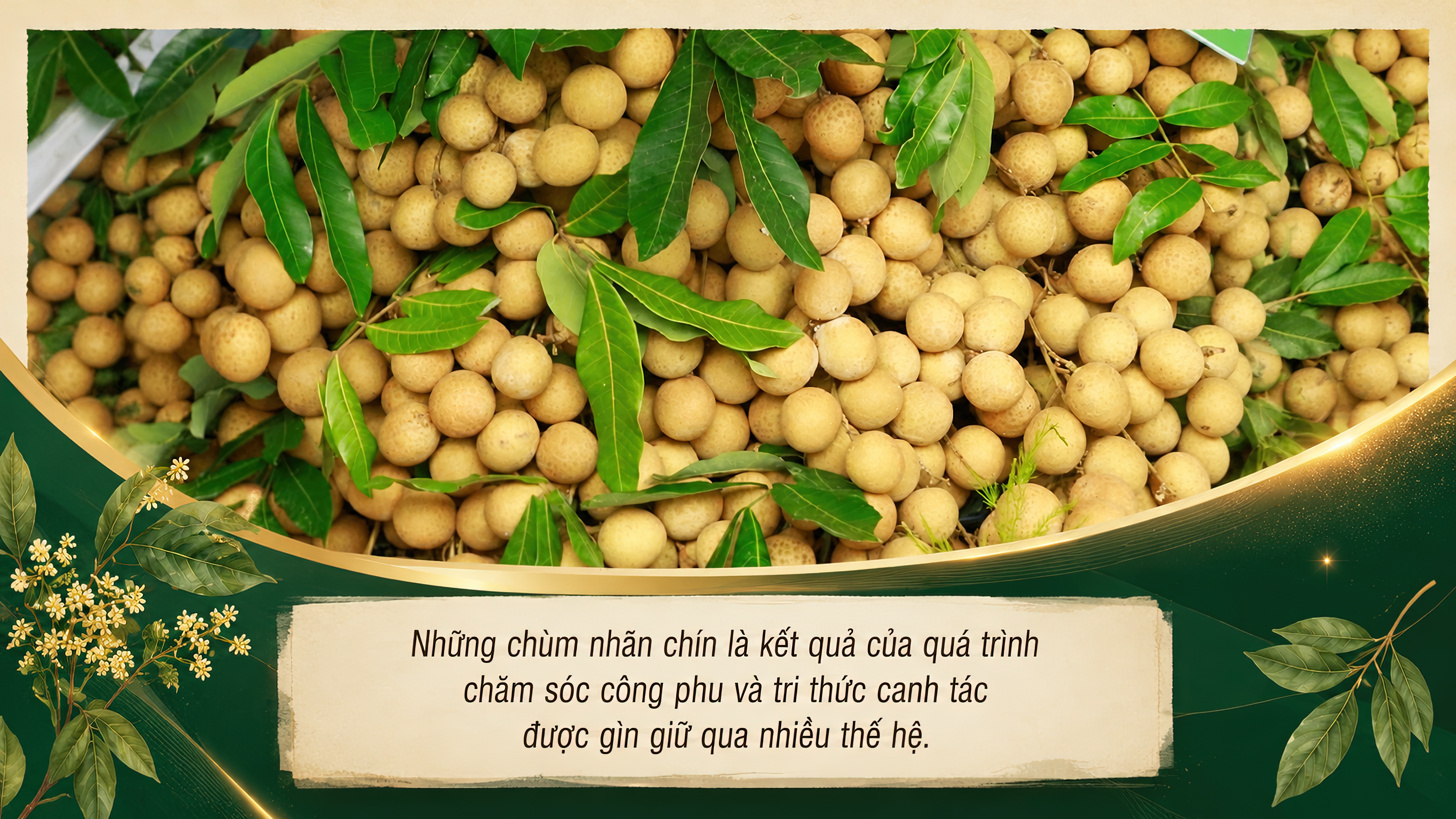 Ảnh co giãn vừa văn bản