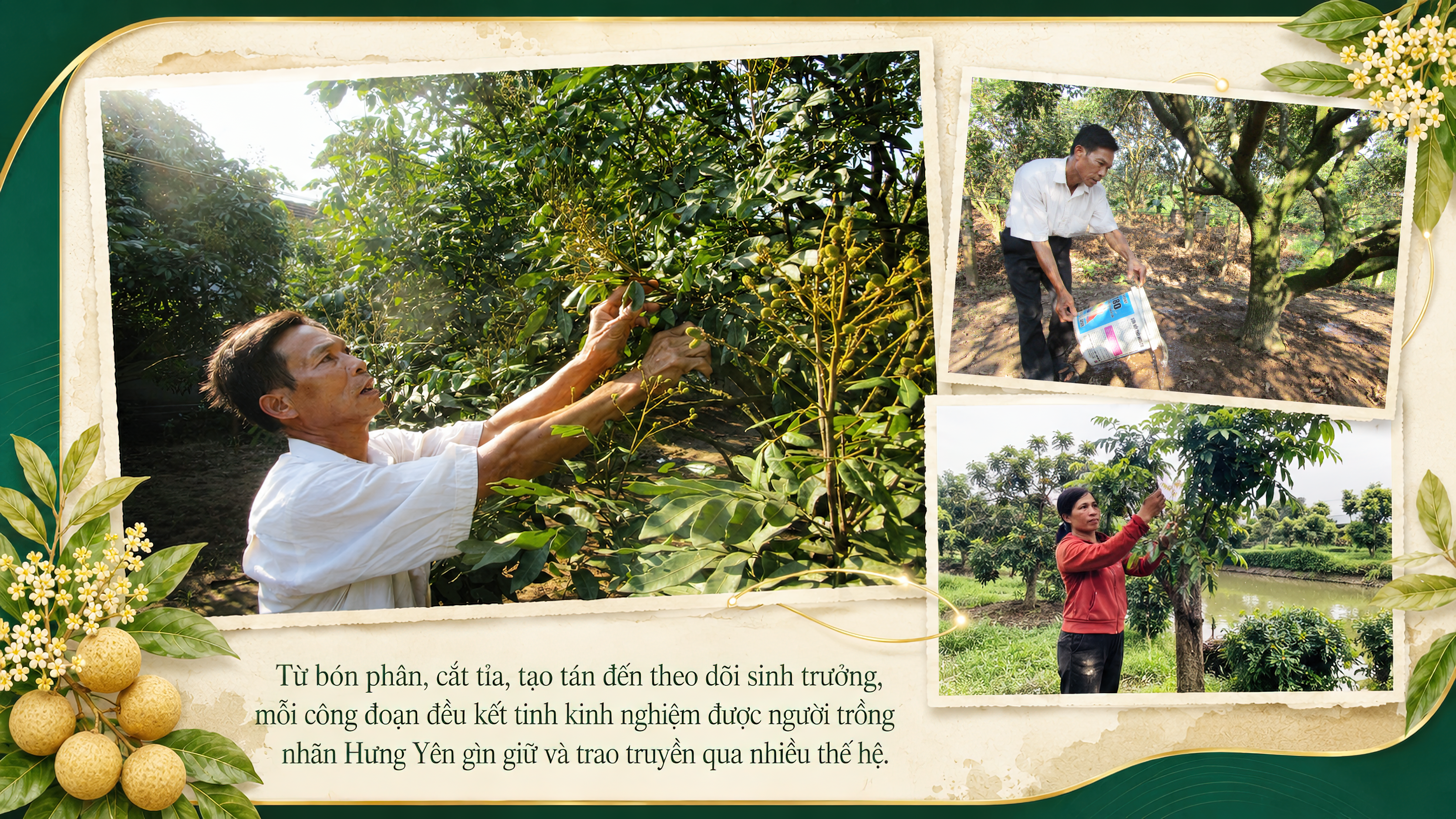 Ảnh co giãn vừa văn bản