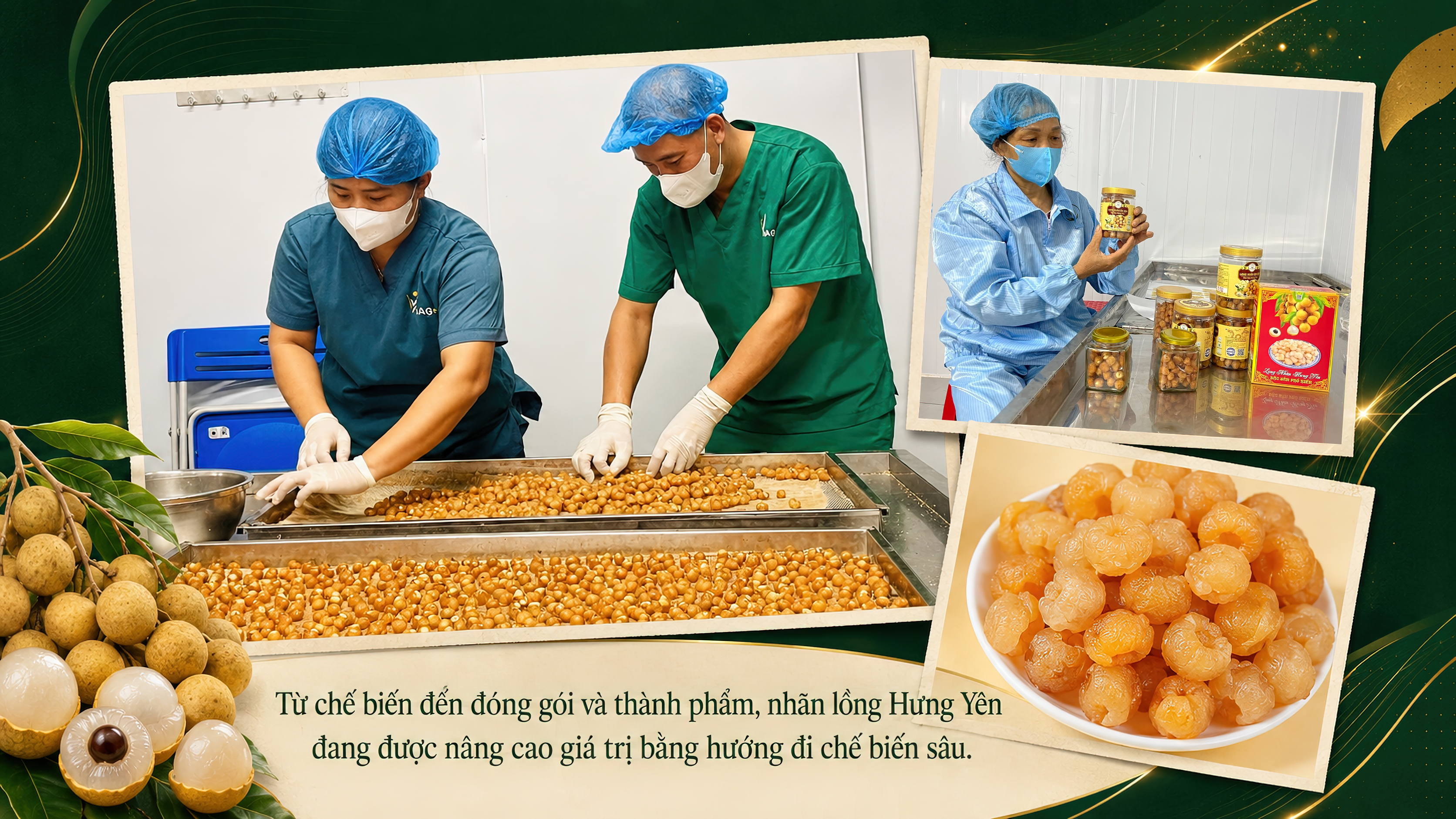 Ảnh co giãn vừa văn bản
