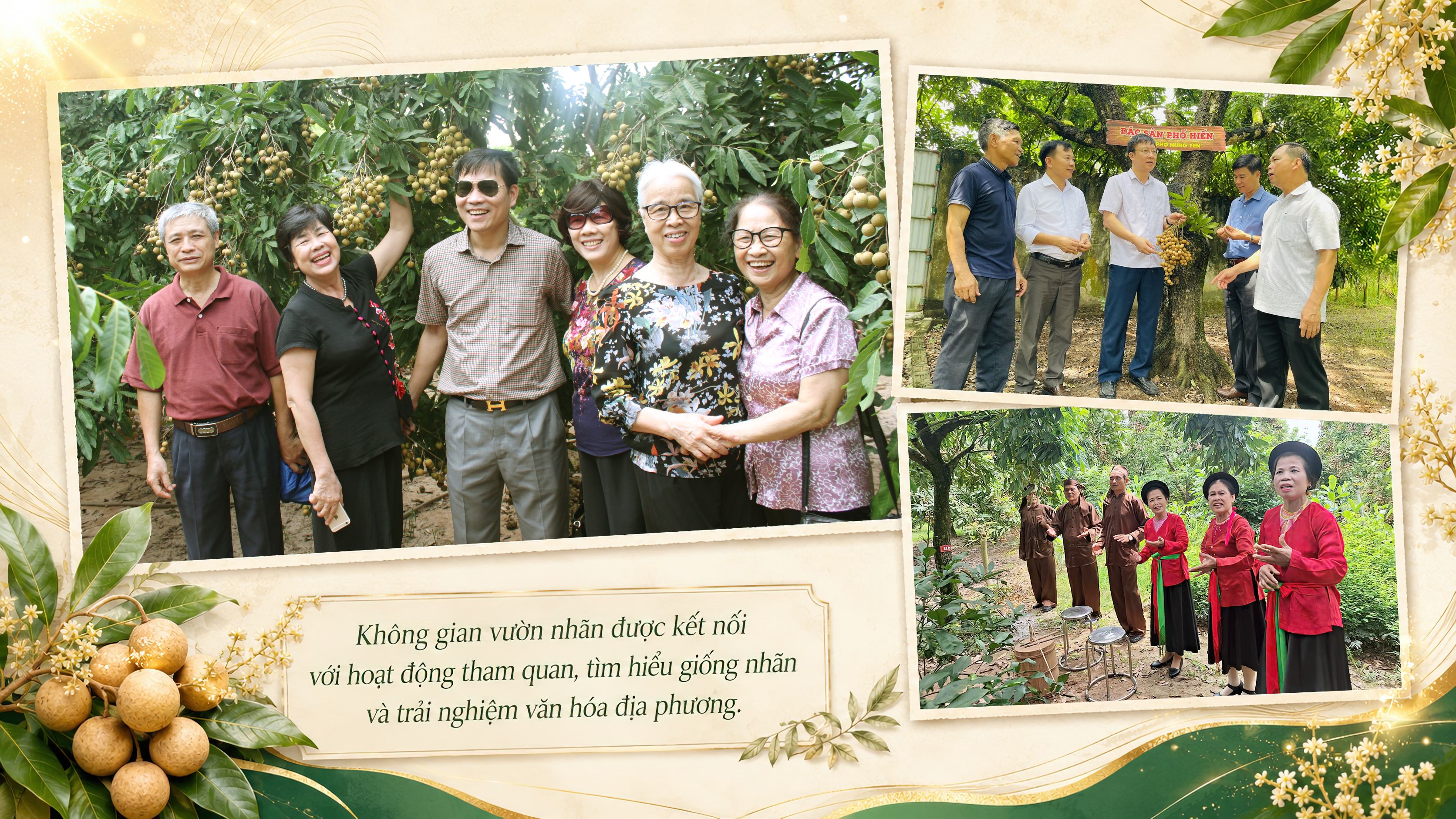 Ảnh co giãn vừa văn bản