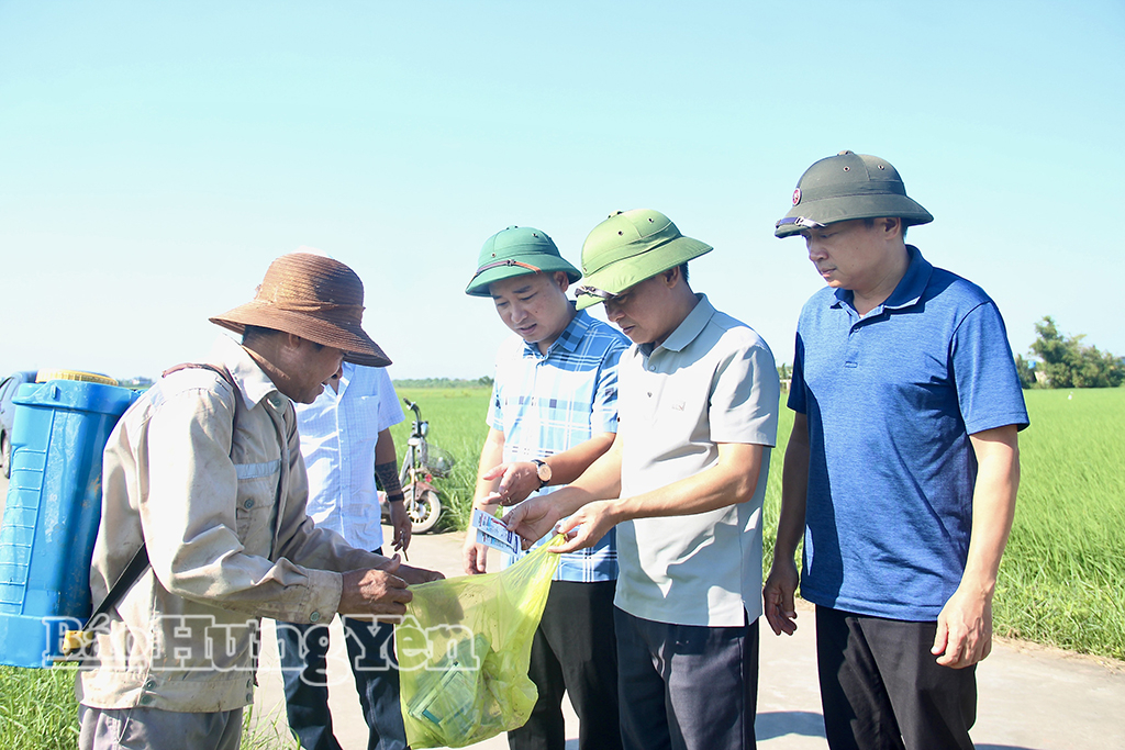Chi cục Trồng trọt và Bảo vệ thực vật kiểm tra, hướng dẫn nông dân sử dụng thuốc bảo vệ thực vật trong phòng, trừ sâu bệnh tại xã Đông Tiền Hải.
