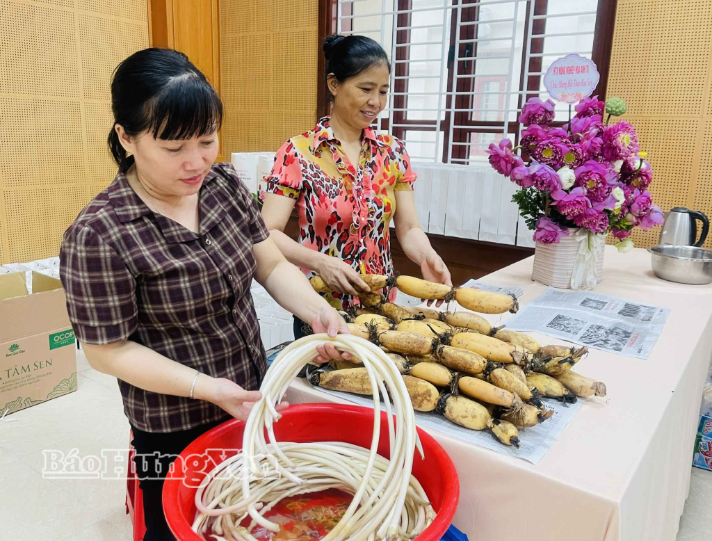 Sản phẩm từ sen của HTX Hoa sen Vân Đài, xã Hồng Minh.