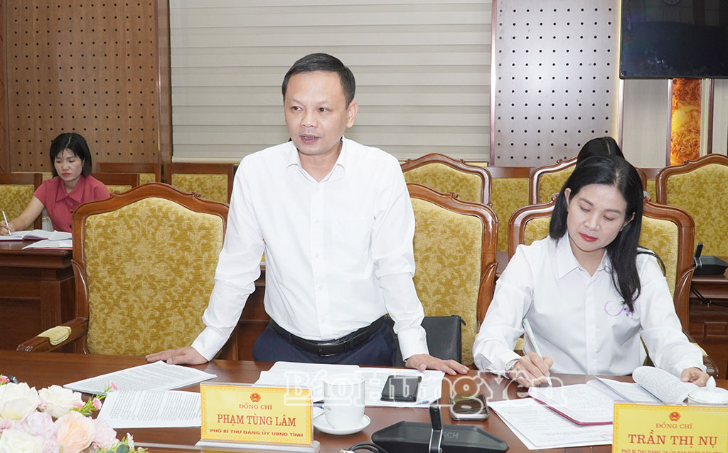Đại diện lãnh đạo Đảng ủy UBND tỉnh phát biểu tại tham luận hội nghị.