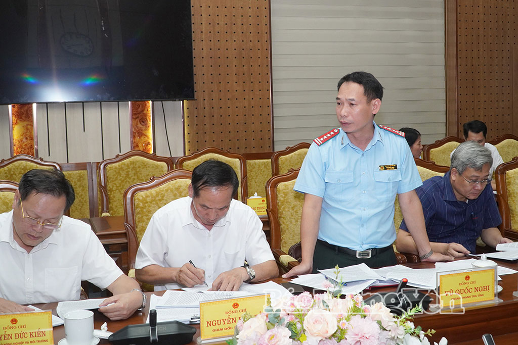 Lãnh đạo Thanh tra tỉnh phát biểu tham luận tại hội nghị.