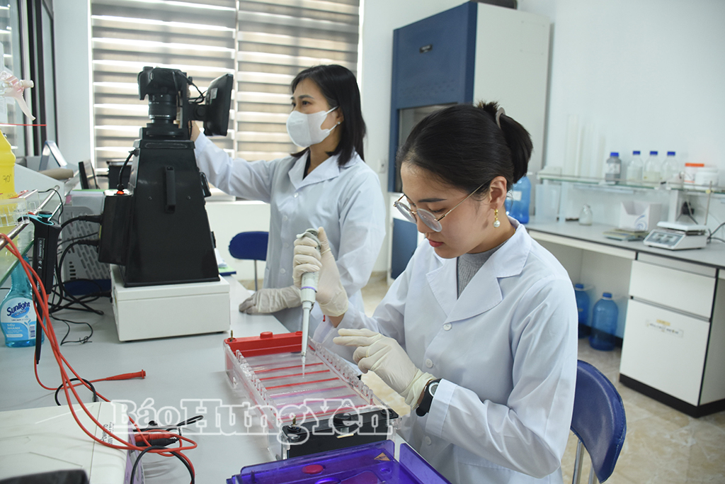 Công tác nghiên cứu khoa học ở Công ty Cổ phần Tập đoàn ThaiBinh Seed.