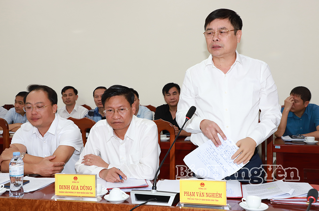 Đồng chí Phạm Văn Nghiêm, Phó Chủ tịch UBND tỉnh phát biểu tại cuộc họp.