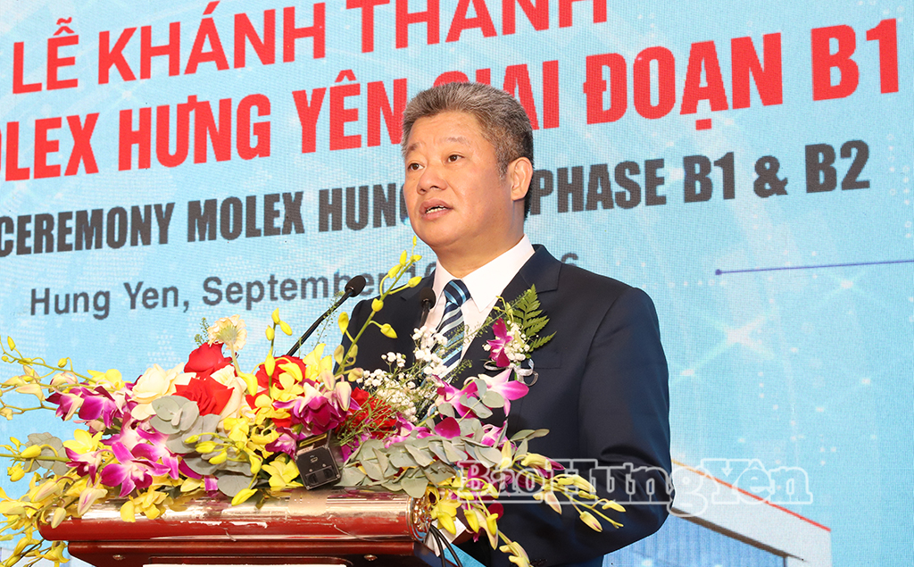 Đồng chí Nguyễn Mạnh Quyền, Phó Bí thư Tỉnh ủy, Chủ tịch UBND tỉnh phát biểu tại lễ khánh thành.